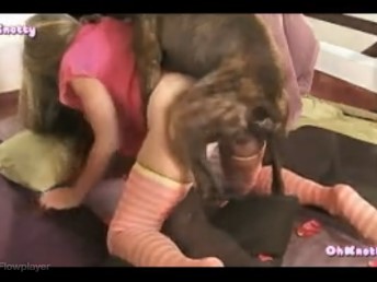 Novinha amadora dando o cuzinho para um cachorro